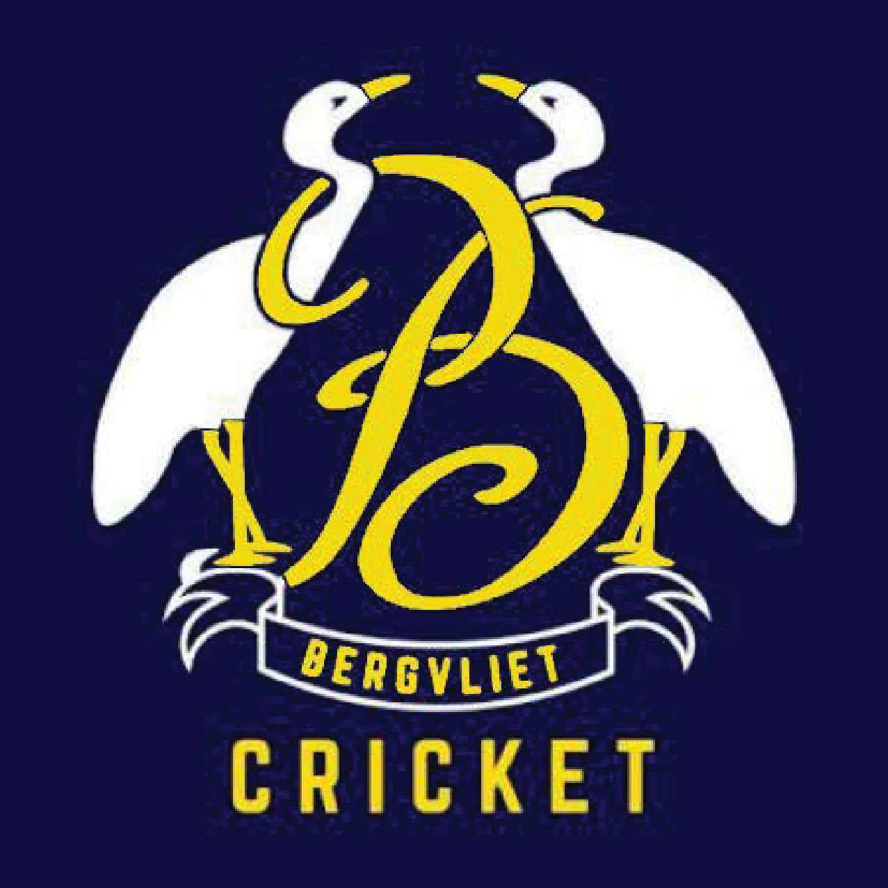 Bergvliet-logo-rgb