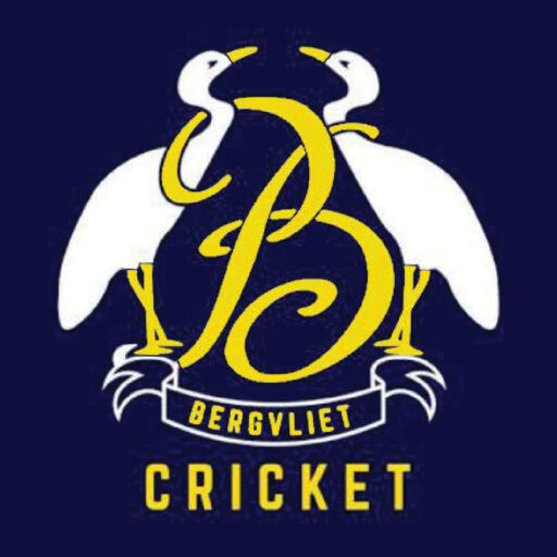 Bergvliet-logo-rgb